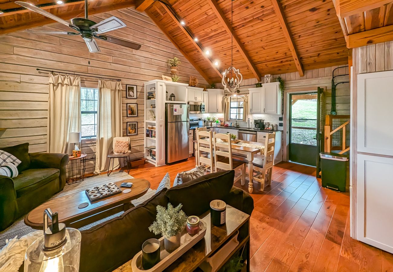 House in Mountain View - Lagniappe Cabin ~ total wooded privacy on 25 acres