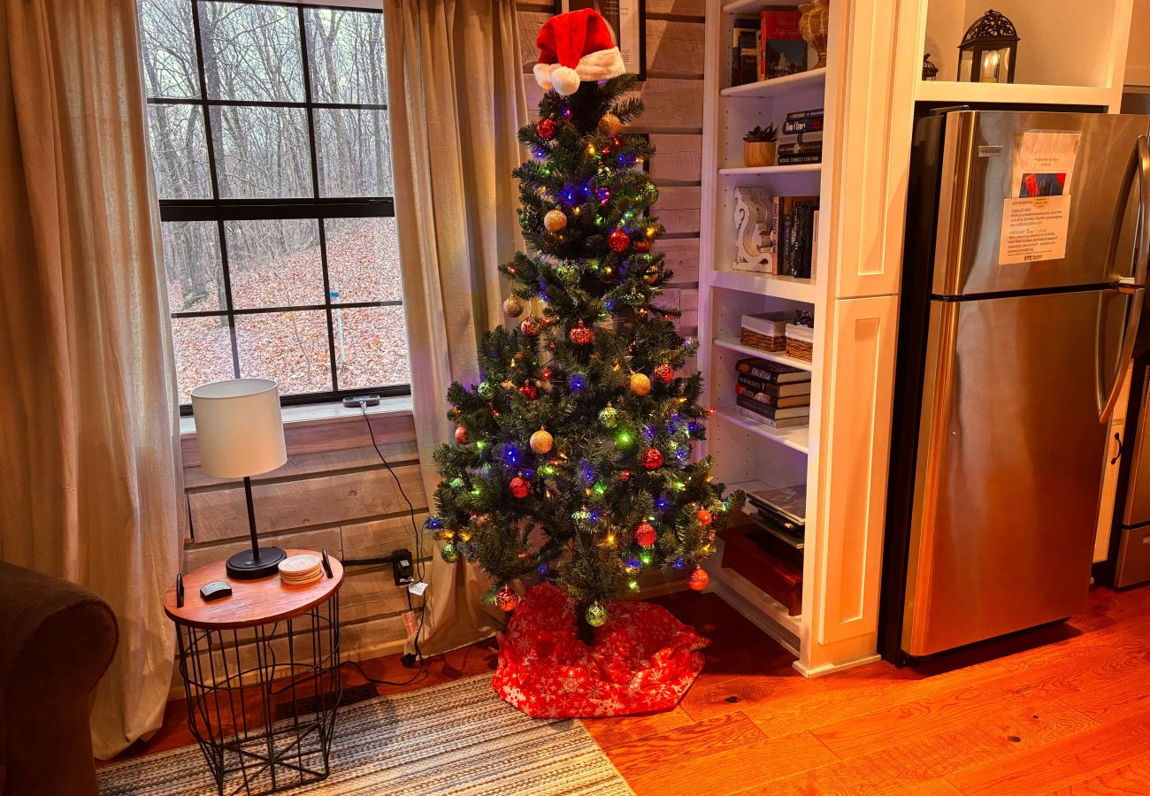 House in Mountain View - Lagniappe Cabin ~ decorated for Christmas