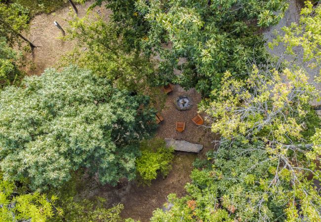 Cabin in Mountain View - Treehouse Thyme - total privacy in woods Cabin in Mountain View - Treehouse Thyme - total privacy in woods