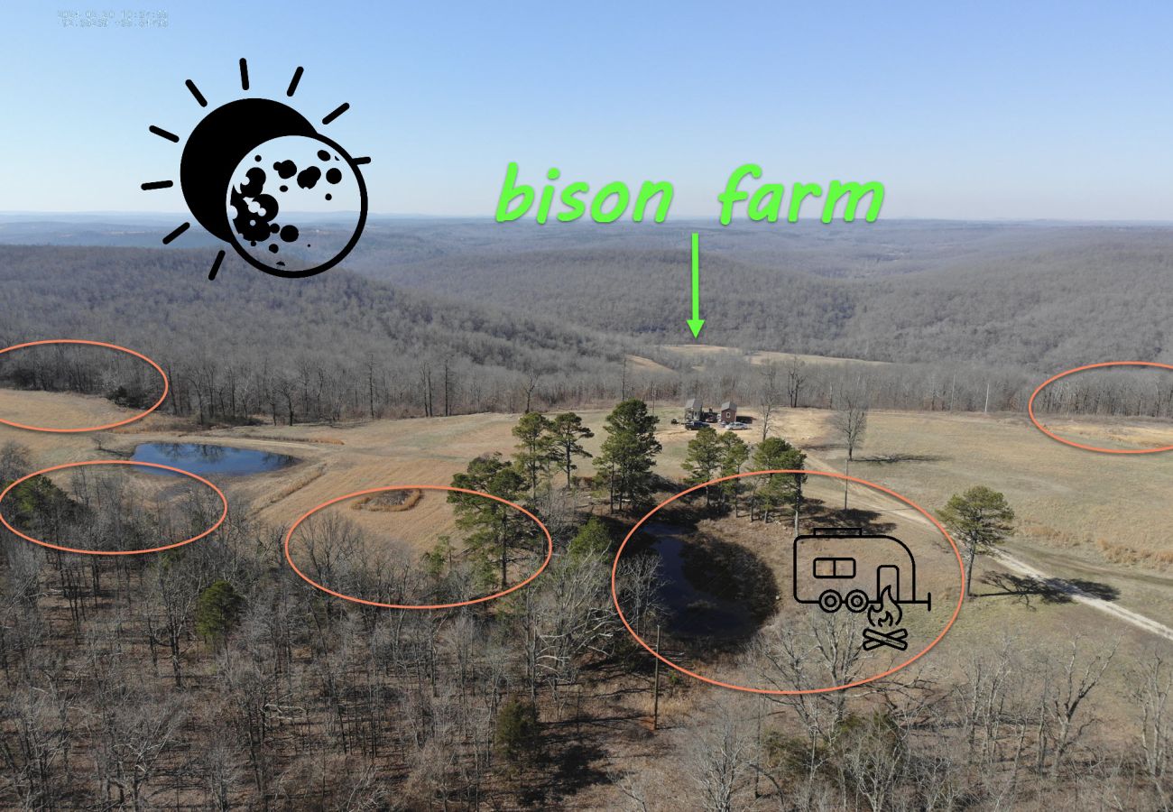 Farm stay in Mountain View - 1 acre campsites on ridge top bison view farm